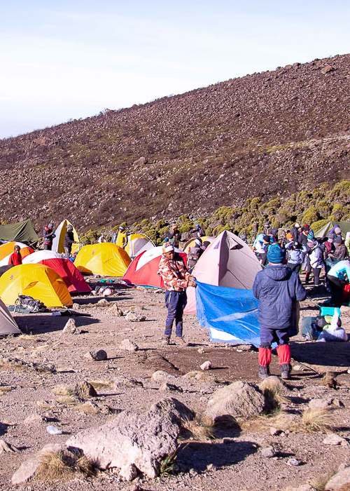 Alpine Trails AfricaMachame Route – 8 Days Trekking