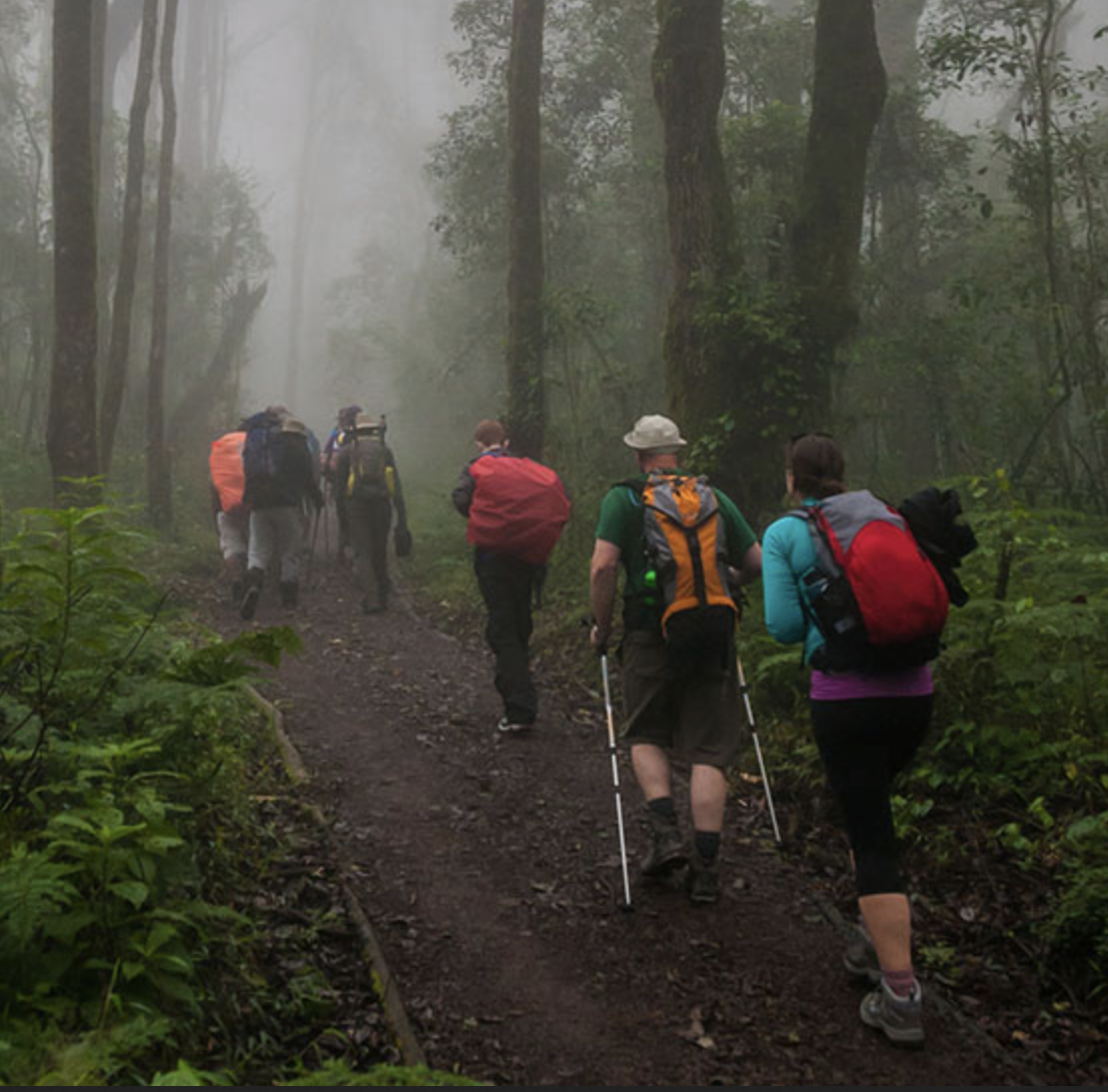 Alpine Trails AfricaDay Hikes